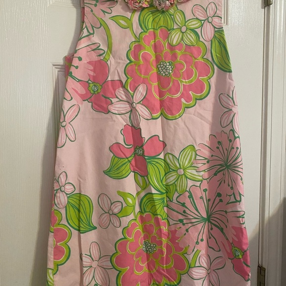 Lilly Pulitzer Minnie Shift Dress - Picture 3 of 10